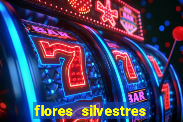 flores silvestres desbravadores desbravadores 25 flores silvestres e seus nomes